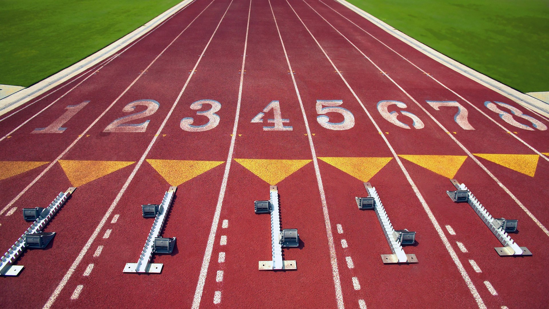 教科书式攻防,广厦以绝对统治力压制黄蜂,克莱的每一帧都是篮球教学的极致范本